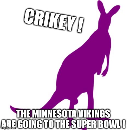 Image tagged in minnesota vikings - Imgflip