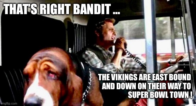 East Bound And Down | THAT’S RIGHT BANDIT …; THE VIKINGS ARE EAST BOUND 
AND DOWN ON THEIR WAY TO 
SUPER BOWL TOWN ! | image tagged in minnesota vikings | made w/ Imgflip meme maker