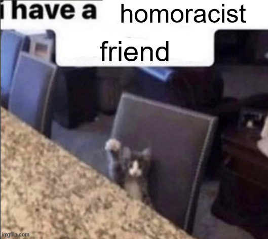 i have a blank | homoracist; friend | image tagged in i have a blank | made w/ Imgflip meme maker