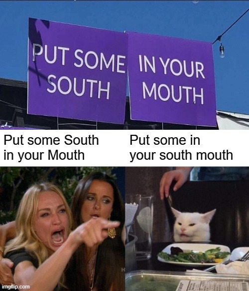 Put some South in your Mouth; Put some in your south mouth | image tagged in memes,woman yelling at cat | made w/ Imgflip meme maker