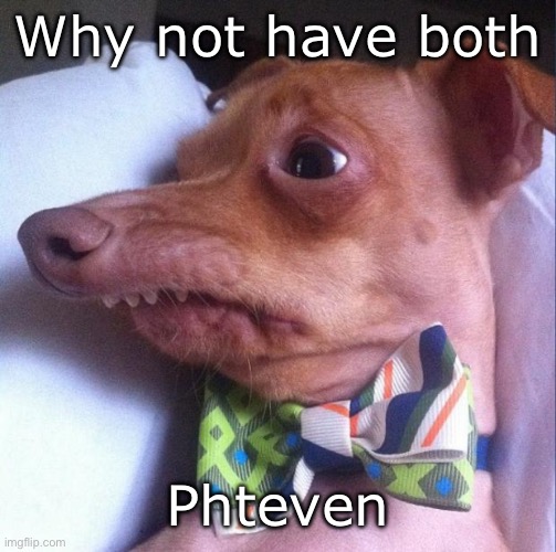 Tuna the dog (Phteven) | Why not have both; Phteven | image tagged in tuna the dog phteven | made w/ Imgflip meme maker