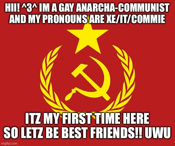Communist flag | HII! ^3^ IM A GAY ANARCHA-COMMUNIST AND MY PRONOUNS ARE XE/IT/COMMIE; ITZ MY FIRST TIME HERE SO LETZ BE BEST FRIENDS!! UWU | image tagged in communist flag | made w/ Imgflip meme maker