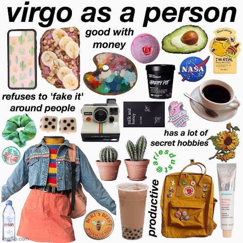 image tagged in virgo | made w/ Imgflip meme maker