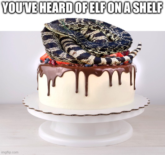 I prefer the elf myself | YOU’VE HEARD OF ELF ON A SHELF | image tagged in christmas | made w/ Imgflip meme maker