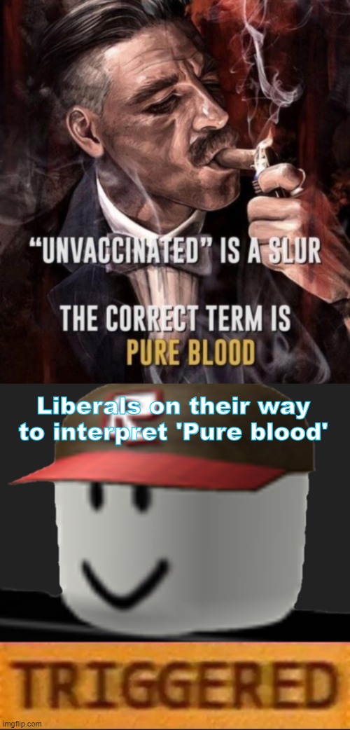 Liberals on their way to interpret 'Pure blood' | image tagged in roblox triggered,vaccines,anti-vaxx,liberals,triggered liberal | made w/ Imgflip meme maker