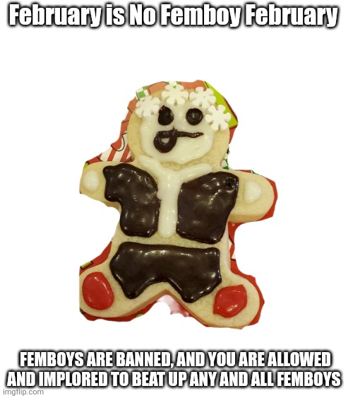 Join in | February is No Femboy February; FEMBOYS ARE BANNED, AND YOU ARE ALLOWED AND IMPLORED TO BEAT UP ANY AND ALL FEMBOYS | image tagged in eggyhead cookie | made w/ Imgflip meme maker