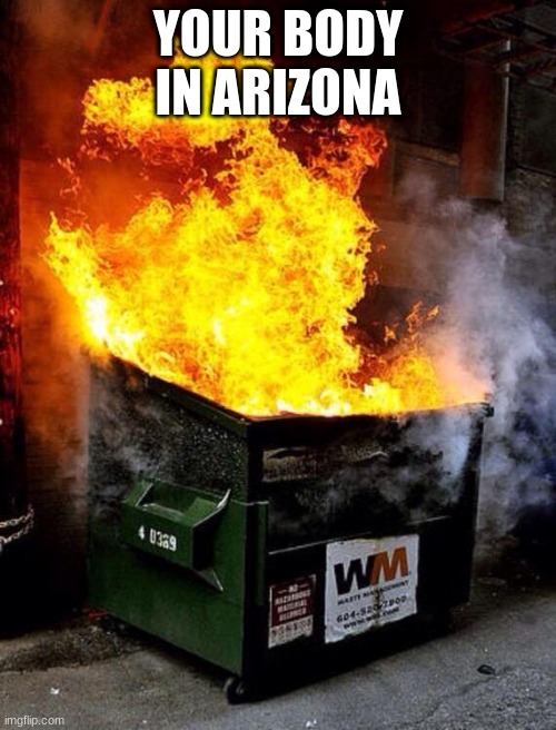 Hey ngl it's true |  YOUR BODY IN ARIZONA | image tagged in dumpster fire | made w/ Imgflip meme maker