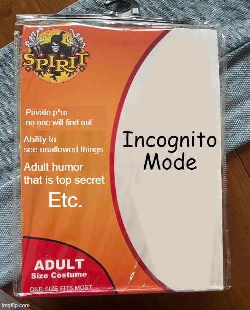 Bruh moment | Private p*rn no one will find out; Incognito Mode; Ability to see unallowed things; Adult humor that is top secret; Etc. | image tagged in spirit halloween,incognito,incognito mode,memes | made w/ Imgflip meme maker