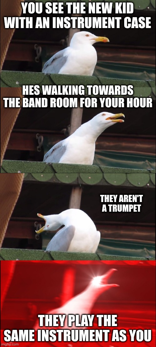 Inhaling Seagull | YOU SEE THE NEW KID WITH AN INSTRUMENT CASE; HES WALKING TOWARDS THE BAND ROOM FOR YOUR HOUR; THEY AREN'T A TRUMPET; THEY PLAY THE SAME INSTRUMENT AS YOU | image tagged in memes,inhaling seagull | made w/ Imgflip meme maker