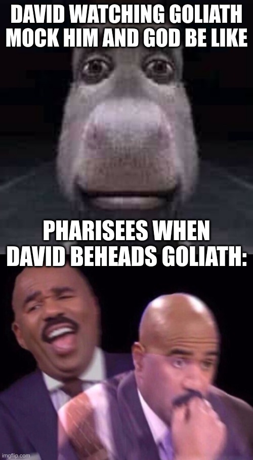 You could say goliath got in OVER his HEAD :) | DAVID WATCHING GOLIATH MOCK HIM AND GOD BE LIKE; PHARISEES WHEN DAVID BEHEADS GOLIATH: | image tagged in donkey staring,steve harvey laughing serious | made w/ Imgflip meme maker