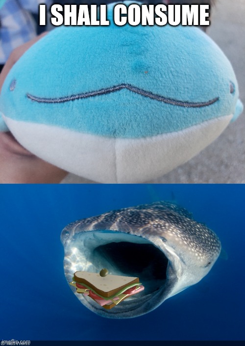 Its a whale shark plush btw | I SHALL CONSUME | image tagged in memes,funny,whale,plush,sandwich,e | made w/ Imgflip meme maker