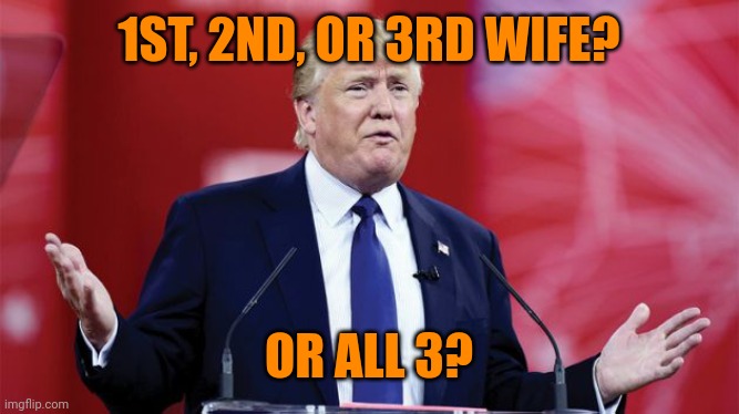 trump-question | 1ST, 2ND, OR 3RD WIFE? OR ALL 3? | image tagged in trump-question | made w/ Imgflip meme maker