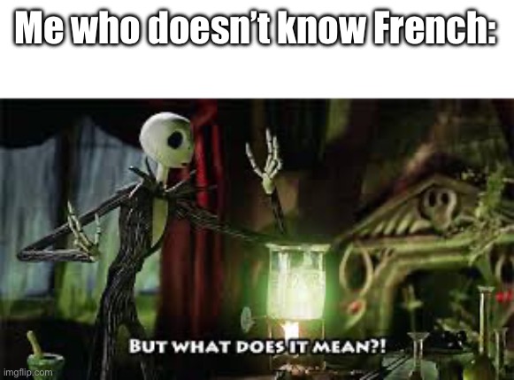 what does it mean? | Me who doesn’t know French: | image tagged in what does it mean | made w/ Imgflip meme maker