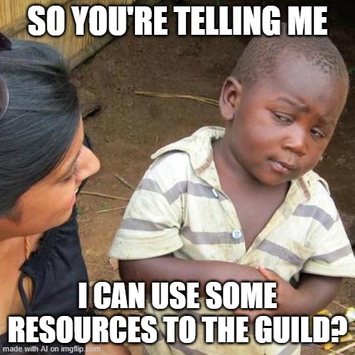 Third World Skeptical Kid Meme | SO YOU'RE TELLING ME; I CAN USE SOME RESOURCES TO THE GUILD? | image tagged in memes,third world skeptical kid | made w/ Imgflip meme maker