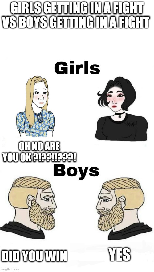 Girls vs Boys | GIRLS GETTING IN A FIGHT VS BOYS GETTING IN A FIGHT; OH NO ARE YOU OK ?!??!!???! YES; DID YOU WIN | image tagged in girls vs boys | made w/ Imgflip meme maker