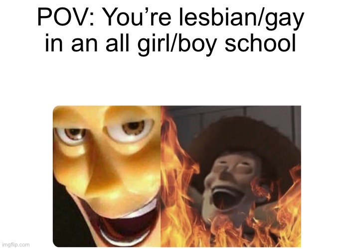 Satanic Woody | POV: You’re lesbian/gay in an all girl/boy school | image tagged in satanic woody | made w/ Imgflip meme maker