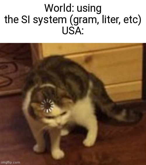 Loading cat | World: using the SI system (gram, liter, etc)
USA: | image tagged in loading cat | made w/ Imgflip meme maker