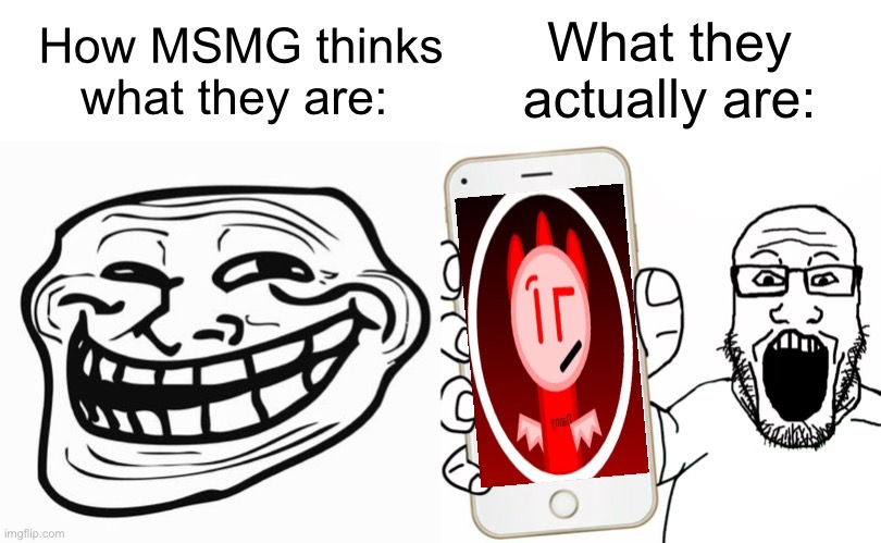 What they actually are:; How MSMG thinks what they are: | image tagged in trollface,soyjak,memes,danny | made w/ Imgflip meme maker