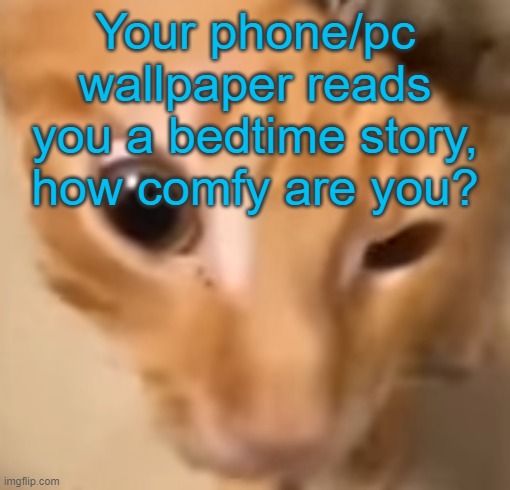 oh god please help me | Your phone/pc wallpaper reads you a bedtime story, how comfy are you? | image tagged in el gato | made w/ Imgflip meme maker