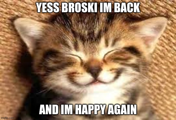 Happy Note to y'all :D | YESS BROSKI IM BACK; AND IM HAPPY AGAIN | image tagged in happy,i'm happy,yayaya | made w/ Imgflip meme maker