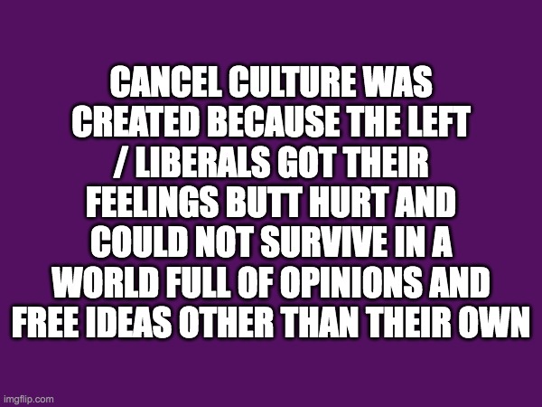 Cancel Culture created | CANCEL CULTURE WAS CREATED BECAUSE THE LEFT / LIBERALS GOT THEIR FEELINGS BUTT HURT AND COULD NOT SURVIVE IN A WORLD FULL OF OPINIONS AND FREE IDEAS OTHER THAN THEIR OWN | image tagged in cancel culture | made w/ Imgflip meme maker