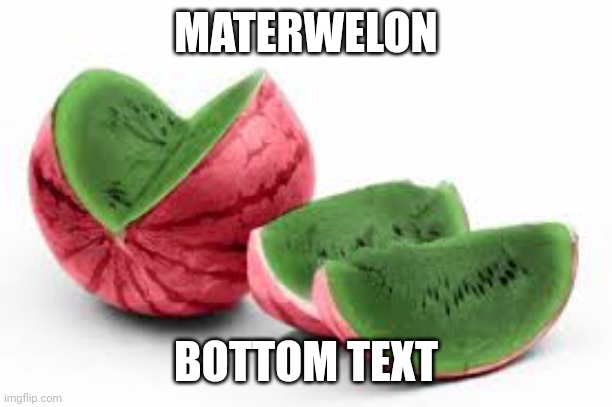 random | MATERWELON; BOTTOM TEXT | image tagged in materwelon | made w/ Imgflip meme maker