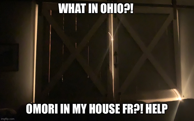 Omori in my house (Actual photo) | WHAT IN OHIO?! OMORI IN MY HOUSE FR?! HELP | image tagged in memes,omori,ohio | made w/ Imgflip meme maker