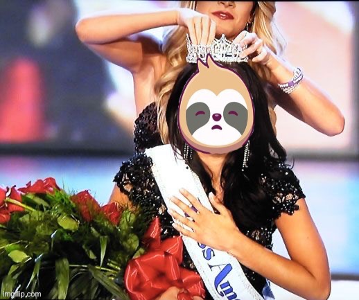 Sloth Miss America | image tagged in sloth miss america | made w/ Imgflip meme maker