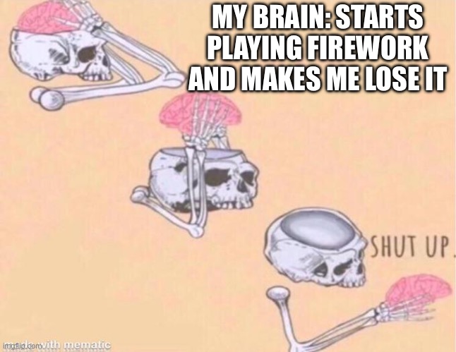 It’s so akward when it happens | MY BRAIN: STARTS PLAYING FIREWORK AND MAKES ME LOSE IT | image tagged in skeleton shut up meme | made w/ Imgflip meme maker