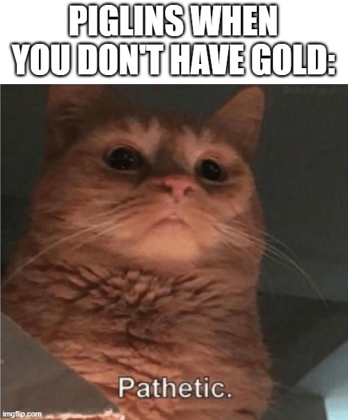 they're hating on poor people smh | PIGLINS WHEN YOU DON'T HAVE GOLD: | image tagged in pathetic cat,anything to revive the stream,why is it slow | made w/ Imgflip meme maker