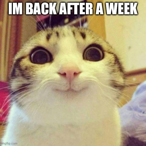 its been a while | IM BACK AFTER A WEEK | image tagged in memes,smiling cat,back after a week | made w/ Imgflip meme maker