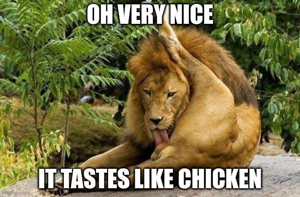 lion licking balls | OH VERY NICE; IT TASTES LIKE CHICKEN | image tagged in lion licking balls | made w/ Imgflip meme maker