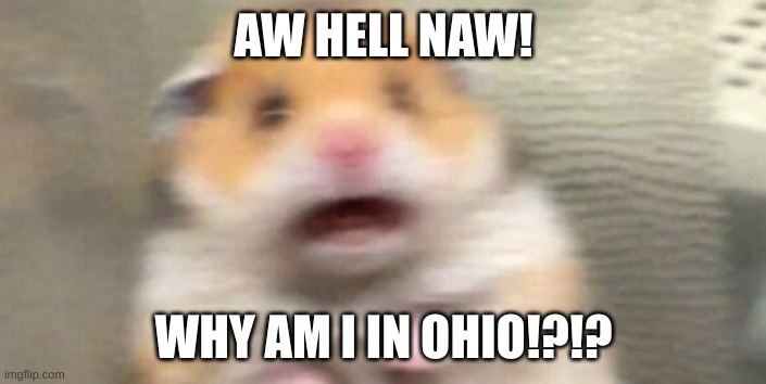 AW HELL NAW! WHY AM I IN OHIO!?!? | image tagged in screaming hampster | made w/ Imgflip meme maker