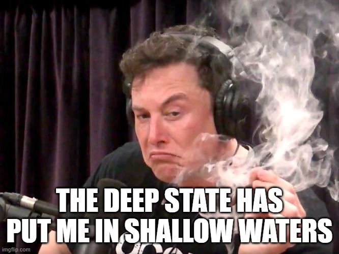 Elon Musk Weed | THE DEEP STATE HAS PUT ME IN SHALLOW WATERS | image tagged in elon musk weed | made w/ Imgflip meme maker