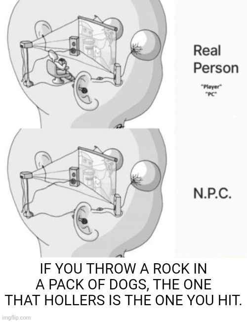 NPC Imgflip