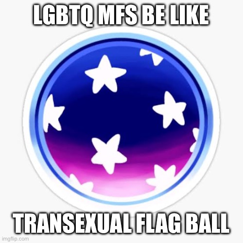 LGBTQ MFS BE LIKE; TRANSEXUAL FLAG BALL | made w/ Imgflip meme maker