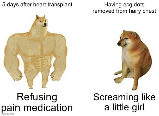Transplant life | image tagged in transplant,chest,hair | made w/ Imgflip meme maker