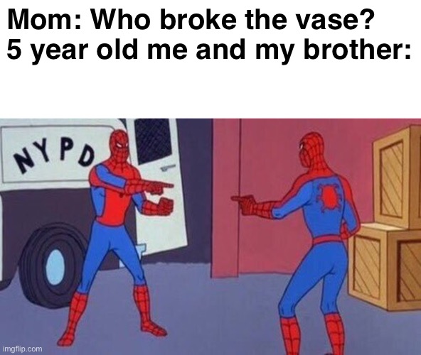 He broke it! | Mom: Who broke the vase?
5 year old me and my brother: | image tagged in spiderman pointing at spiderman,memes,childhood | made w/ Imgflip meme maker