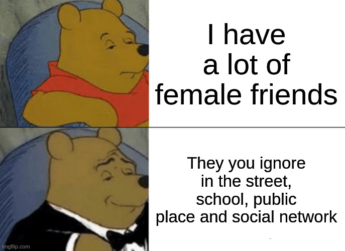 school | I have a lot of female friends; They you ignore in the street, school, public place and social network | image tagged in memes,tuxedo winnie the pooh | made w/ Imgflip meme maker