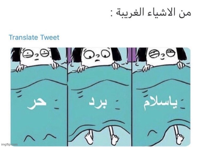 image tagged in foreign | made w/ Imgflip meme maker