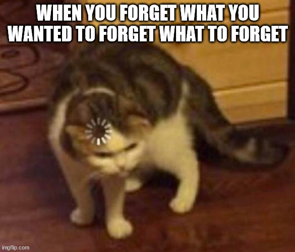 *visible confusion* | WHEN YOU FORGET WHAT YOU WANTED TO FORGET WHAT TO FORGET | image tagged in thinking cat | made w/ Imgflip meme maker