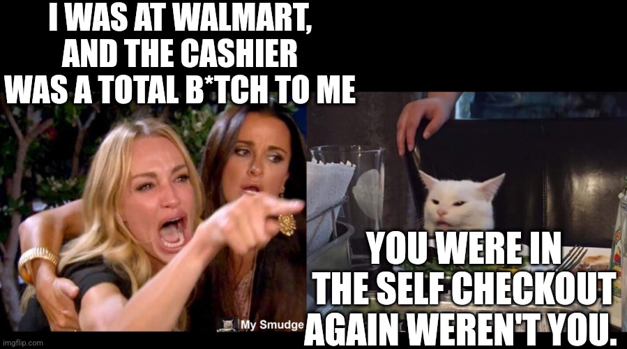 I WAS AT WALMART, AND THE CASHIER WAS A TOTAL B*TCH TO ME; YOU WERE IN THE SELF CHECKOUT AGAIN WEREN'T YOU. | image tagged in smudge the cat | made w/ Imgflip meme maker