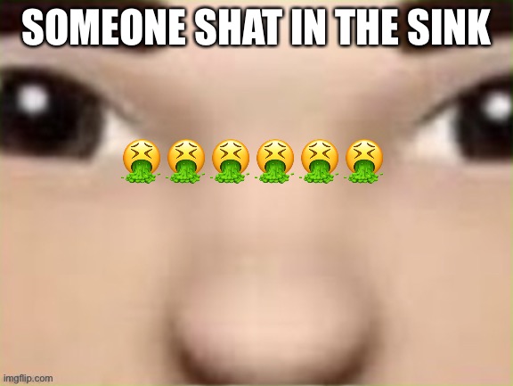 r | SOMEONE SHAT IN THE SINK; 🤮🤮🤮🤮🤮🤮 | image tagged in r | made w/ Imgflip meme maker