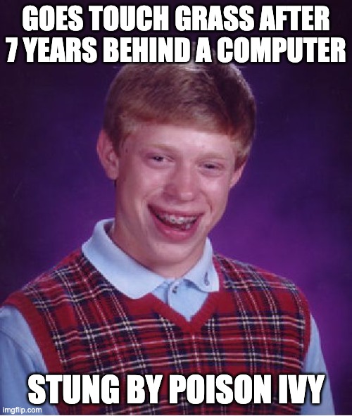 Bad Luck Brian Meme | GOES TOUCH GRASS AFTER 7 YEARS BEHIND A COMPUTER; STUNG BY POISON IVY | image tagged in memes,bad luck brian | made w/ Imgflip meme maker