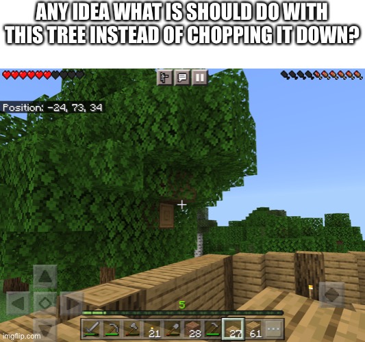 any? | ANY IDEA WHAT IS SHOULD DO WITH THIS TREE INSTEAD OF CHOPPING IT DOWN? | image tagged in minecraft,cheese | made w/ Imgflip meme maker