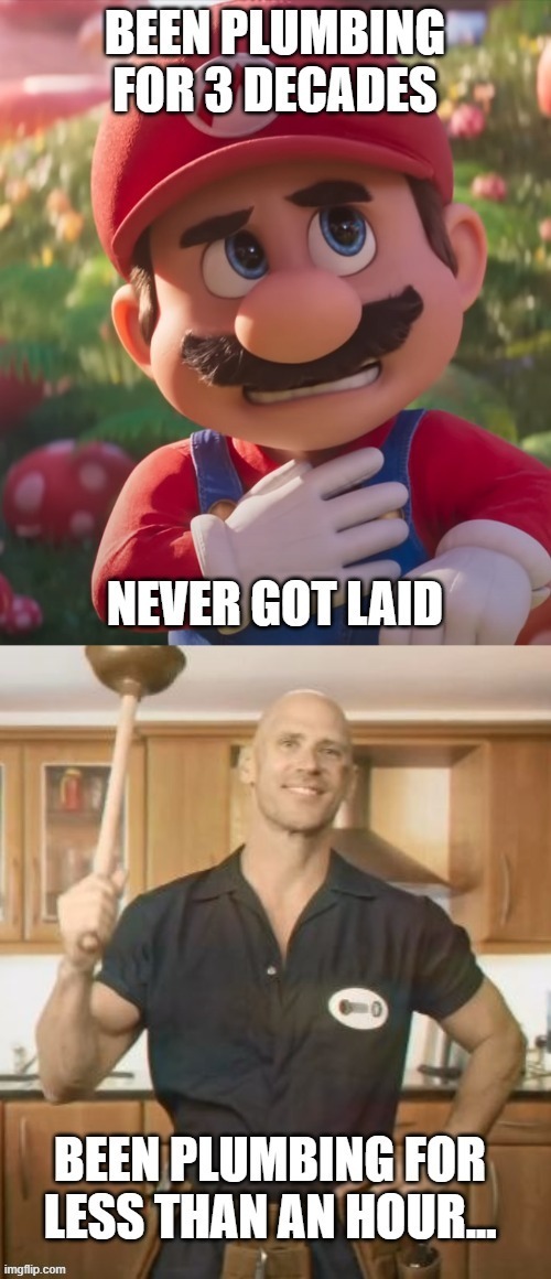 Quite a resume | image tagged in johnny,sins,mario bros,smash bros,plumber | made w/ Imgflip meme maker