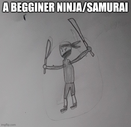 A BEGGINER NINJA/SAMURAI | made w/ Imgflip meme maker