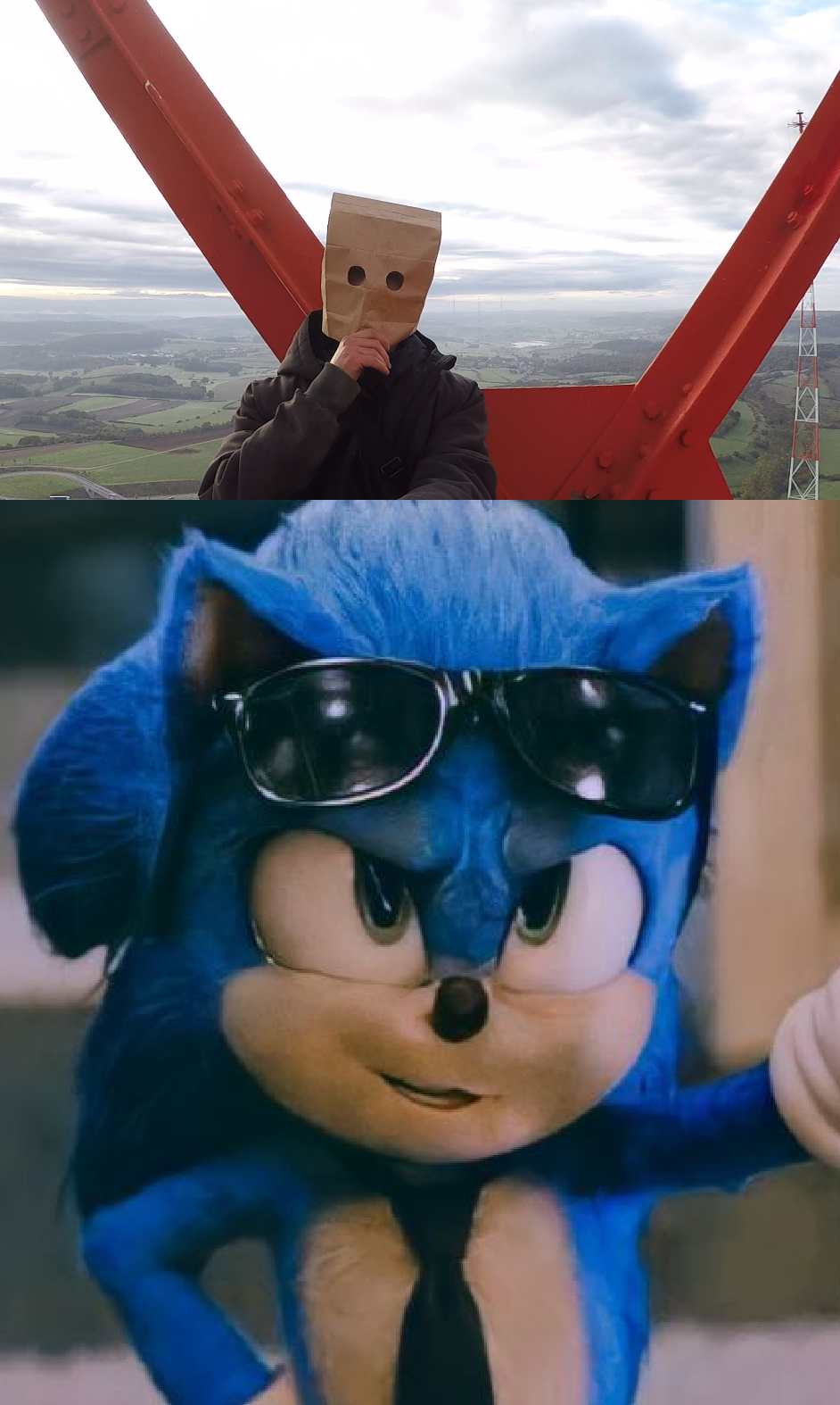 Sonic Blank Meme Template