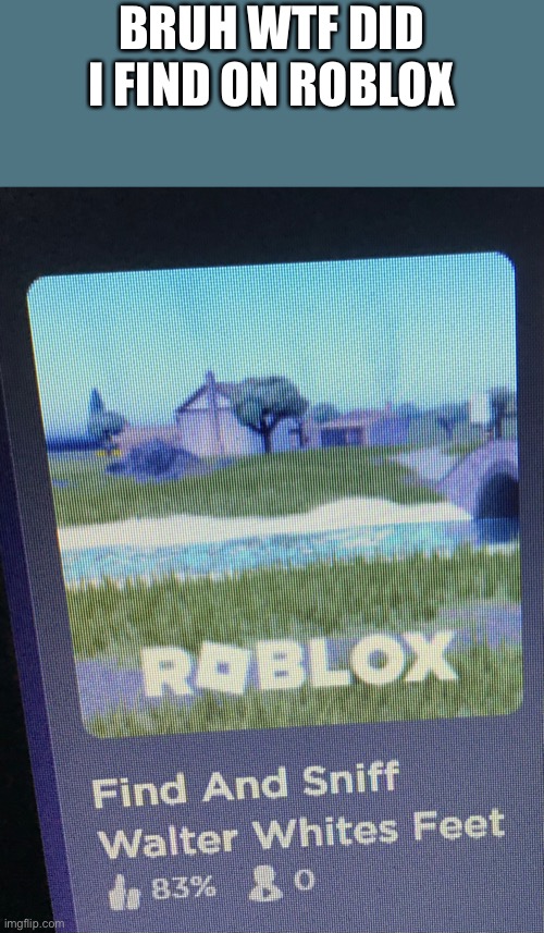 BRUH WTF DID I FIND ON ROBLOX | made w/ Imgflip meme maker