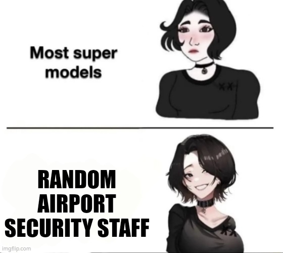 Hmm | RANDOM AIRPORT SECURITY STAFF | image tagged in most supermodels,airport,idk | made w/ Imgflip meme maker